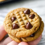 Peanut Butter Chocolate Chip Cookies